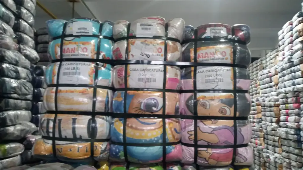 [FRESA] 2136 CASA CARICATURA